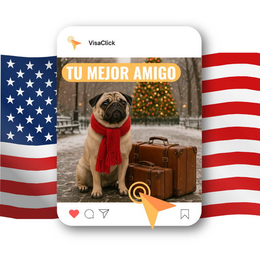 Viajar con tu mascota a Estados Unidos: guía completa y divertida para un viaje sin estrés
